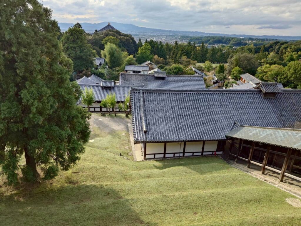 奈良ルーツの旅