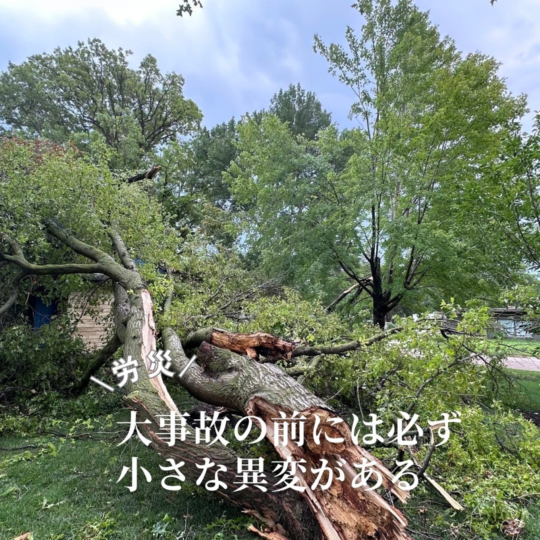 instagram 2025-12-18