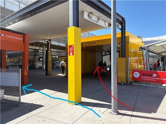 よかったね！？