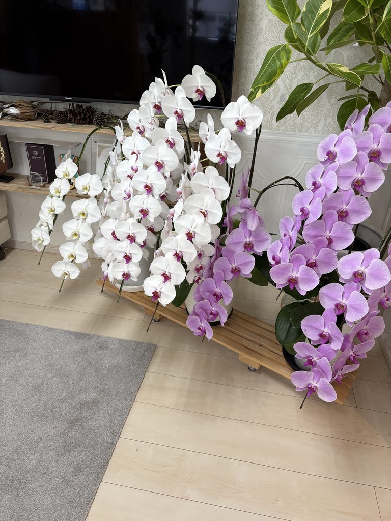 花の行方